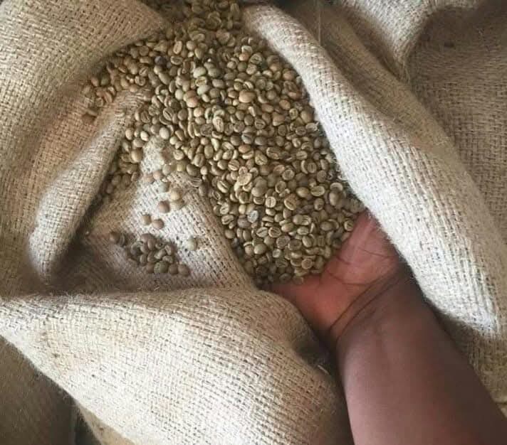 Coffee beans in burlap sack