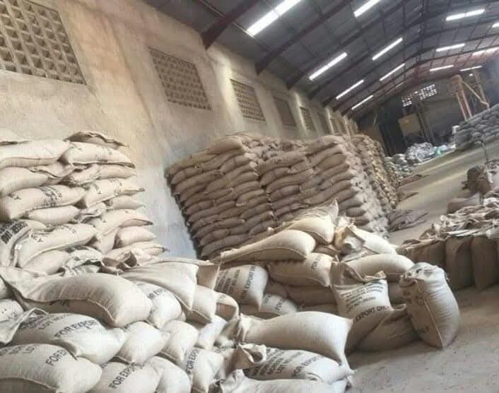Coffee warehouse with stacked sacks