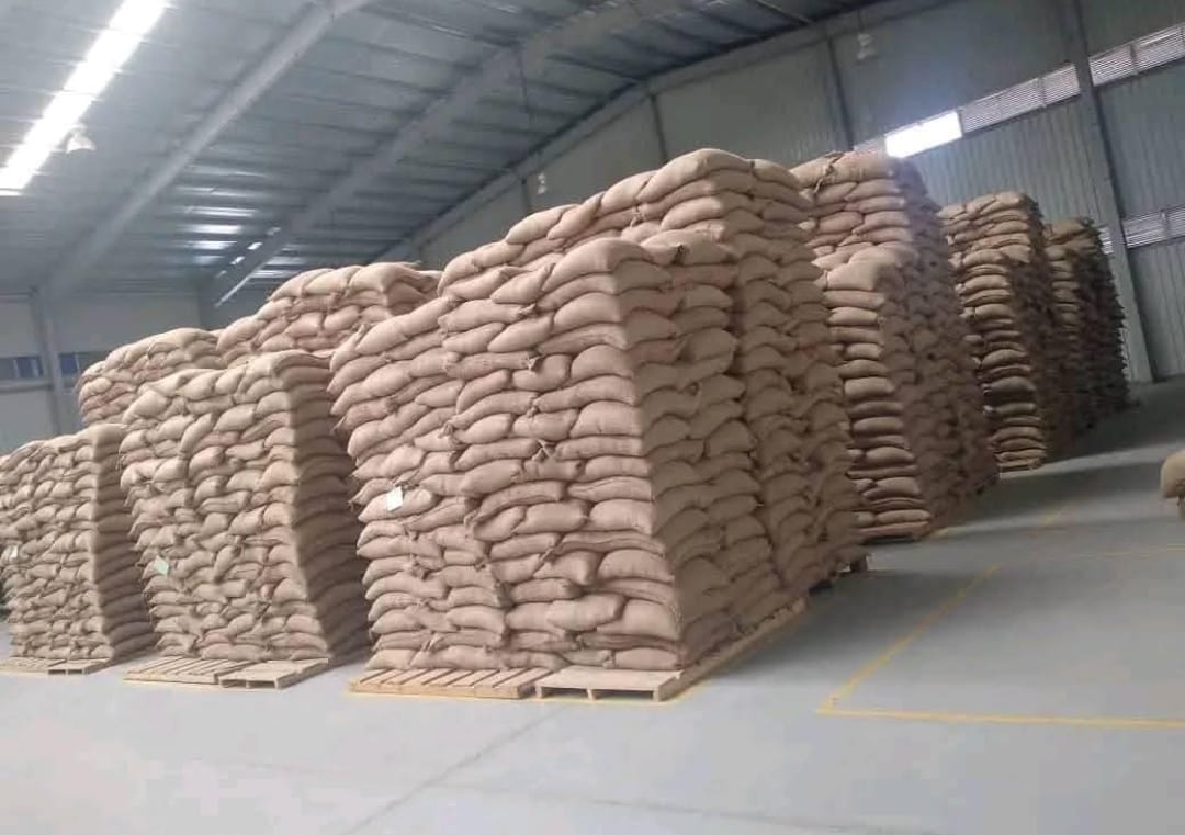 Coffee warehouse storage
